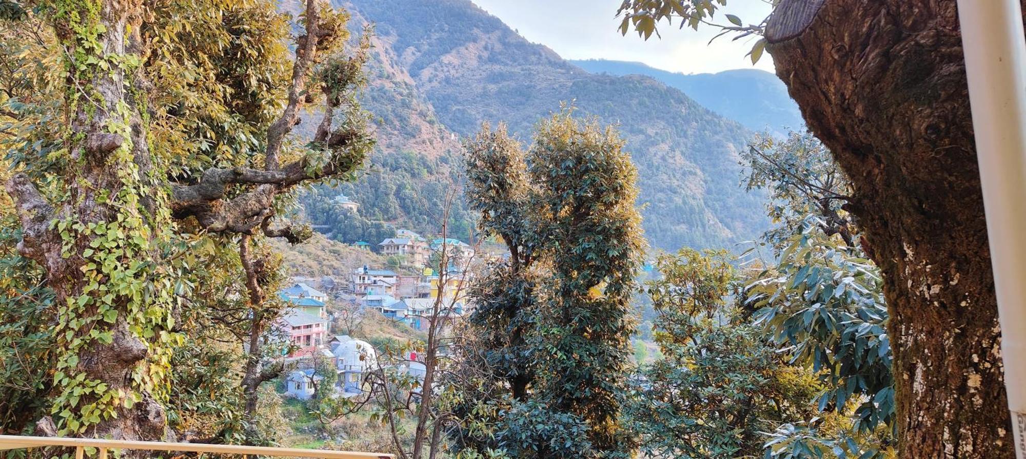 The Unmad - Dharamkot Bed & Breakfast ดารัมซาลา ภายนอก รูปภาพ