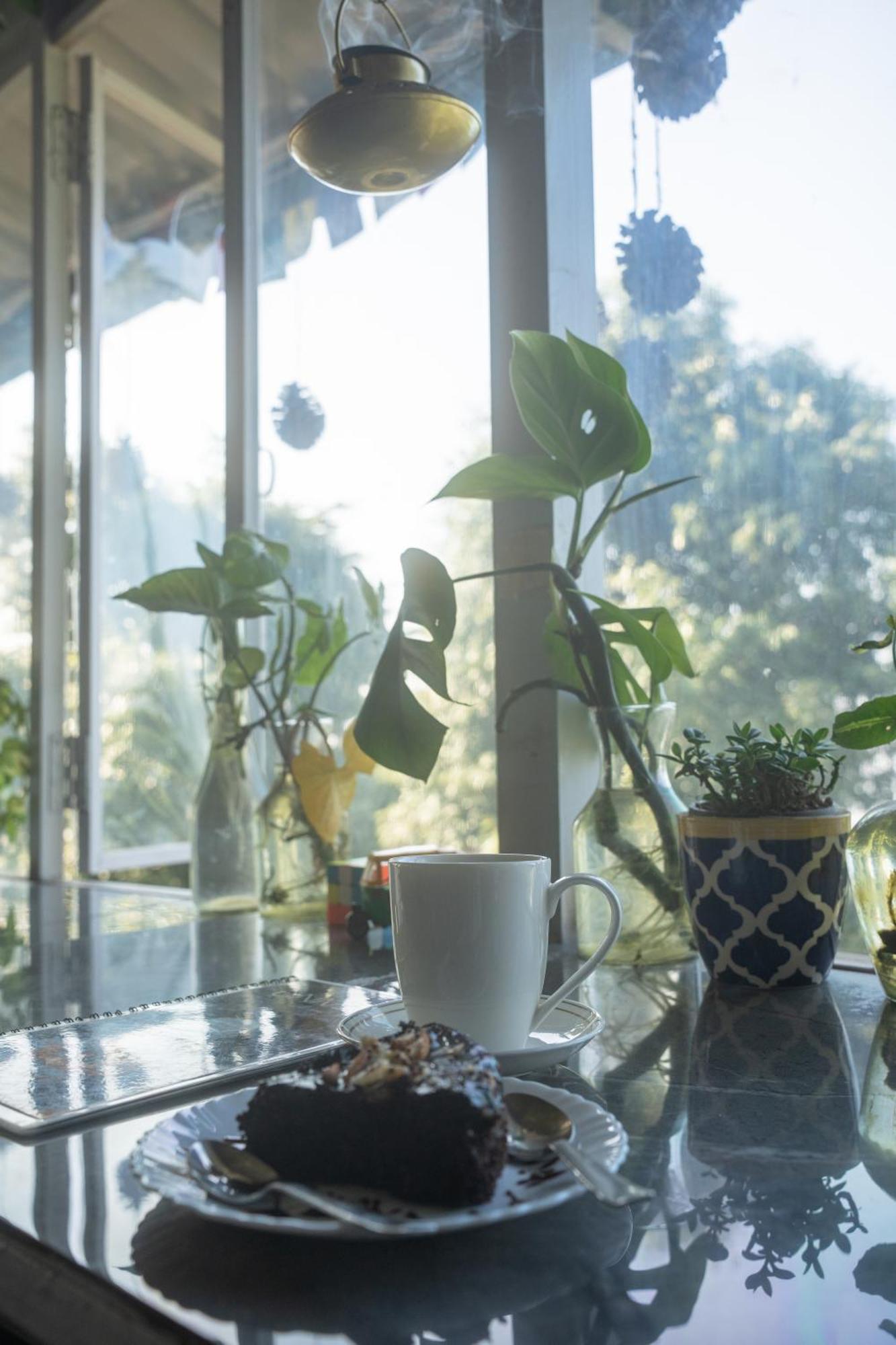 The Unmad - Dharamkot Bed & Breakfast ดารัมซาลา ภายนอก รูปภาพ