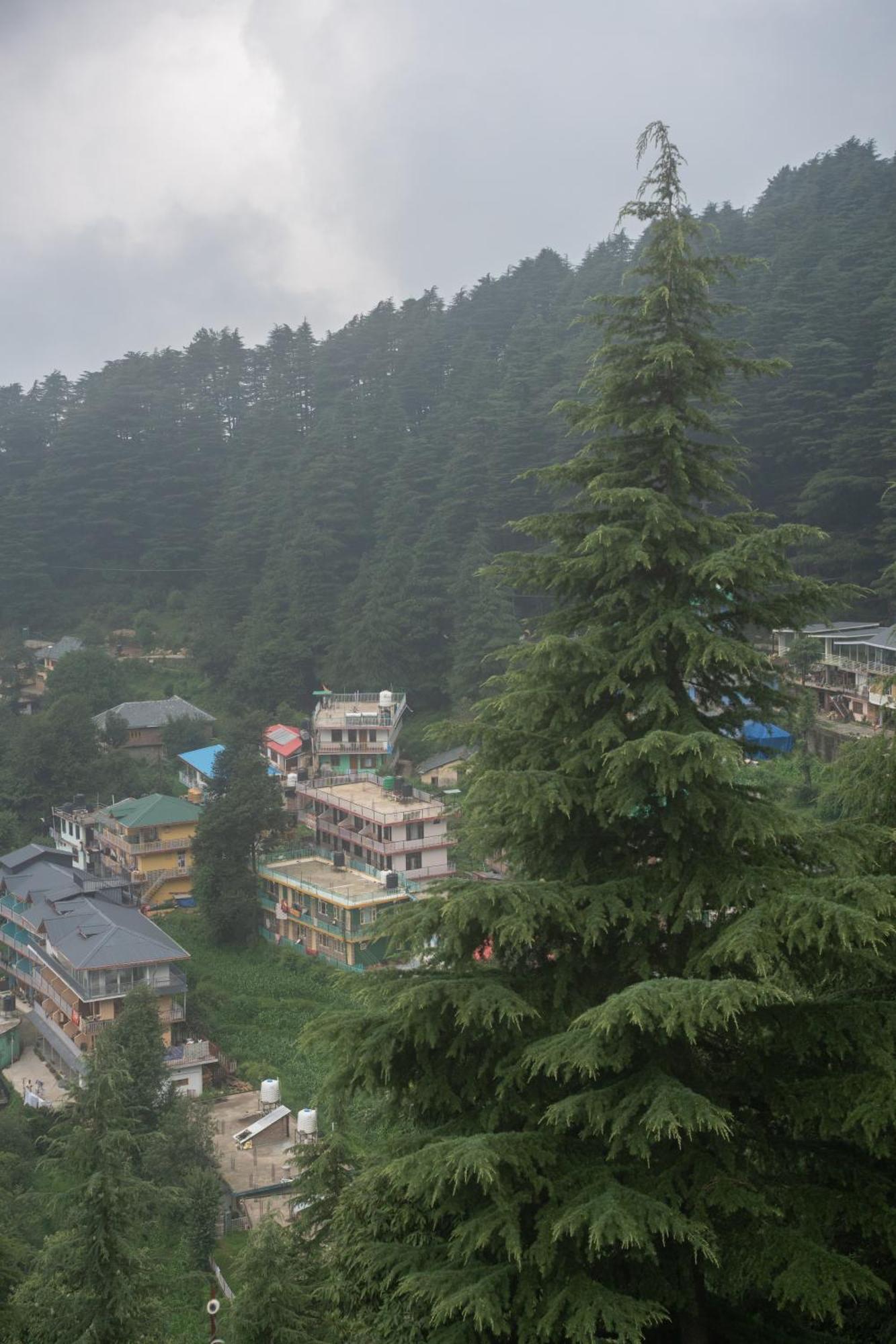 The Unmad - Dharamkot Bed & Breakfast ดารัมซาลา ภายนอก รูปภาพ